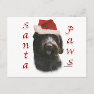 Drahthaar Pointing Griffon Santa Paws Feiertagspostkarte