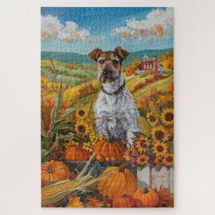 Drahthaar-Terrier-Hund Herbsternte Erntedankfest