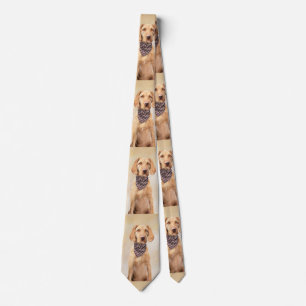 Drahthaar Vizsla Malerei - Niedliche Hundekunst Krawatte