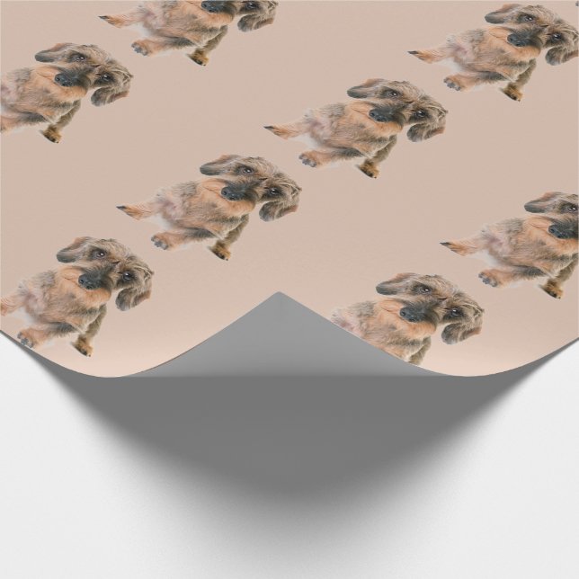 Drahthaarfresser Hund Braun Modernes Tier Niedlich Geschenkpapier (Ecke)