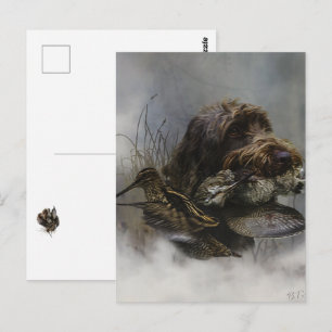 Drahthaariger Griffon, Waldschnepfenjagd Postkarte