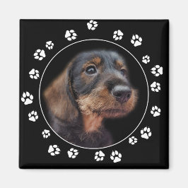 Drahthaarterrier Dackel Puppy Paw Prints Magnet