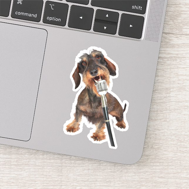 Drahthaarterrier Dackel singen Aufkleber (Detail)