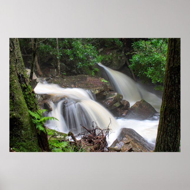 Drakes Creek Falls Poster (Vorne)