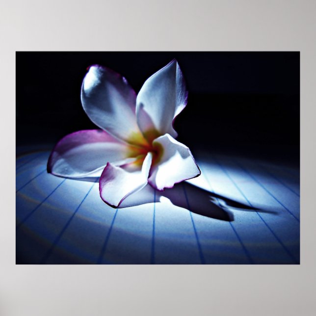 DRAMA (DE) POSTER (Vorne)