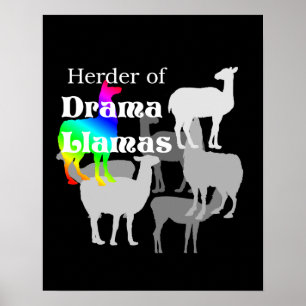 Drama-Lama-Hirten-Plakat Poster