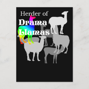 Drama Llama Herder Postcard Postkarte