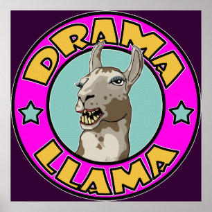 Drama Llama, impression