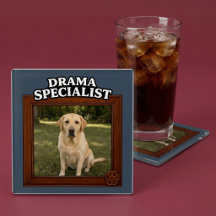 Drama-Spezialist Individuelles lustiges Hunde-Foto