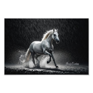 Dramatic White Horse Galloping in Rain Fotodruck