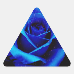 Dramatisch Blaue Rose Dreieckiger Aufkleber