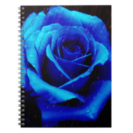 Dramatisch Blaue Rose Notizblock