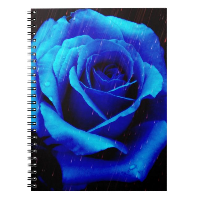 Dramatisch Blaue Rose Notizblock (Vorderseite)