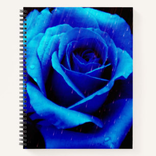 Dramatisch Blaue Rose Notizbuch