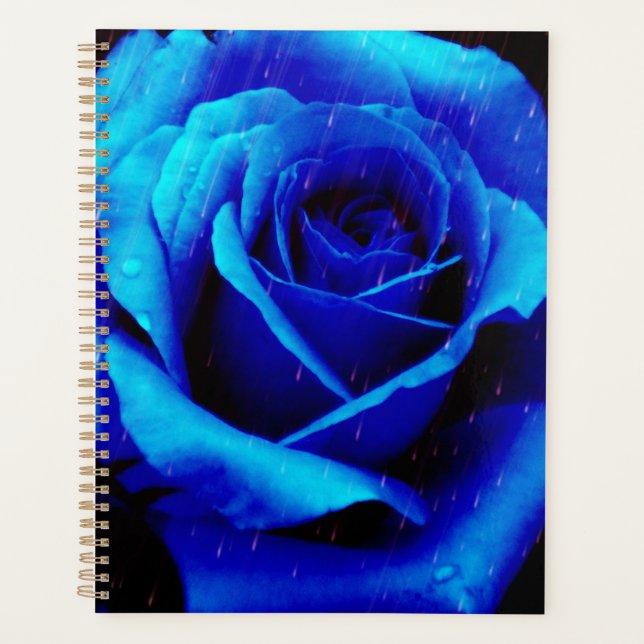 Dramatisch Blaue Rose Planer (Vorderseite)