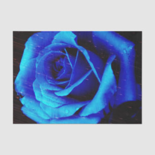 Dramatisch Blaue Rose Seidenpapier