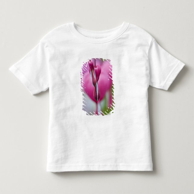 Dramatische Farbe und Form des blutenden Herzens Kleinkind T-shirt (Vorderseite)