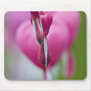 Dramatische Farbe und Form des Flammenden Herzens Mousepad