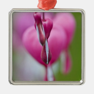 Dramatische Farbe und Form des Flammenden Herzens Ornament Aus Metall