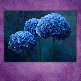 Dramatische Fette Blaue Hortensien Blumen Botanisc Poster