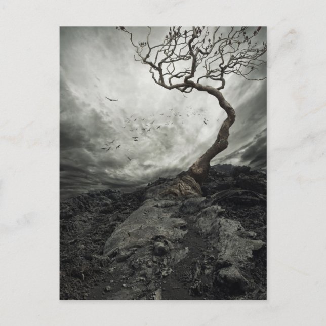 Dramatischer Himmel über dem alten einsamen Baum Postkarte (Vorderseite)