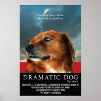 "Dramatischer Hund" Imitate Filmplakat