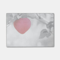 Dramatischer Red Heart Shape Apple