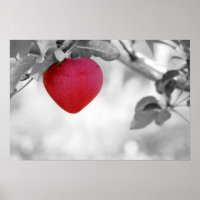 Dramatischer Red Heart Shape Apple