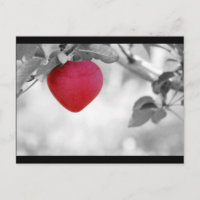 Dramatischer Red Heart Shape Apple