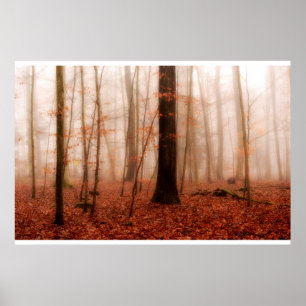 Dramatischer roter Nebel im Winter verschneiten Wa Poster
