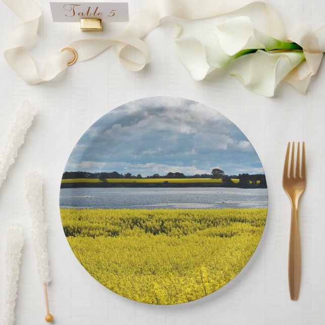 Dramatischer Streatham Beauty Pappteller (Hochzeit)