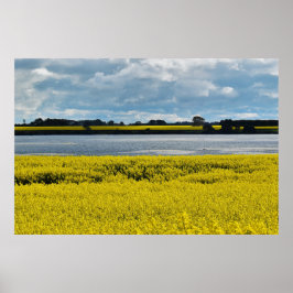 Dramatischer Streatham Beauty Poster