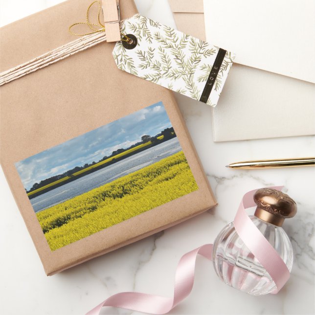 Dramatischer Streatham Beauty Rechteckiger Aufkleber (Schenken)