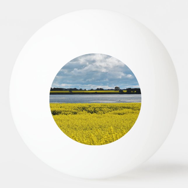 Dramatischer Streatham Beauty Tischtennisball (Vorderseite)