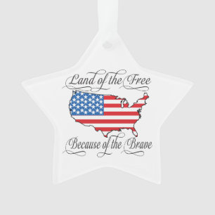 Drapeau américain patriotique terre libre brave Cu