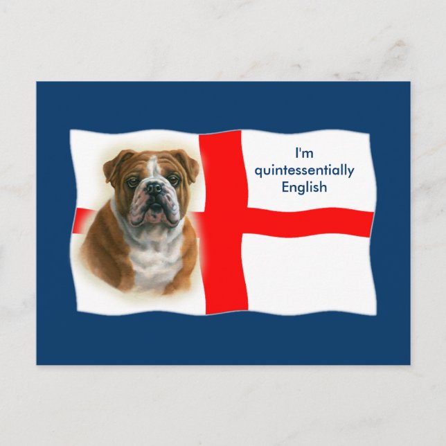 Drapeau anglais et carte postale bulldog (Devant)