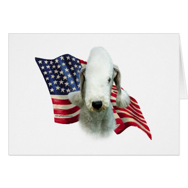Drapeau Bedlington Terrier (Devant horizontal)