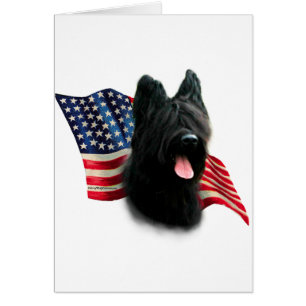 Drapeau Briard