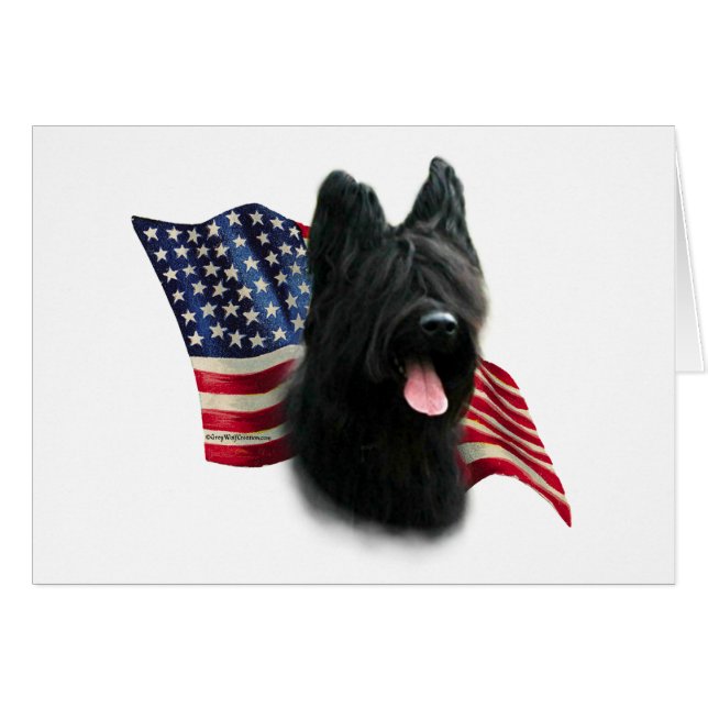 Drapeau Briard (Devant horizontal)