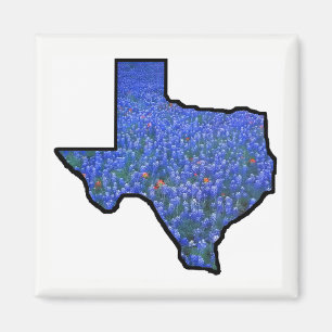 Drapeau de forme d'état du Texas et aimant de
