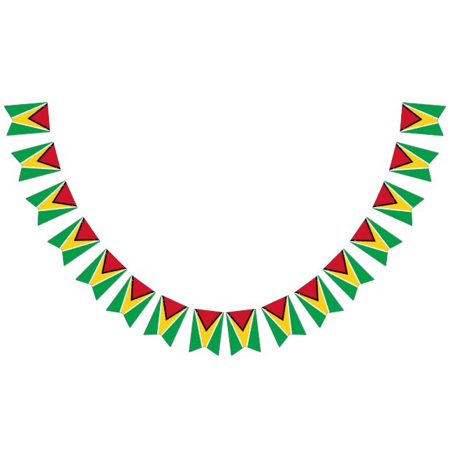Drapeau de Guyana (Tout)