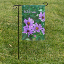 Drapeau Jardin d'Aster Violet