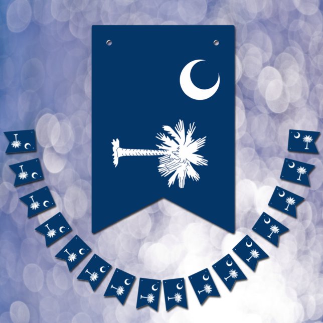 Drapeau de la Caroline du Sud, bannière de mise en (Créateur téléchargé)