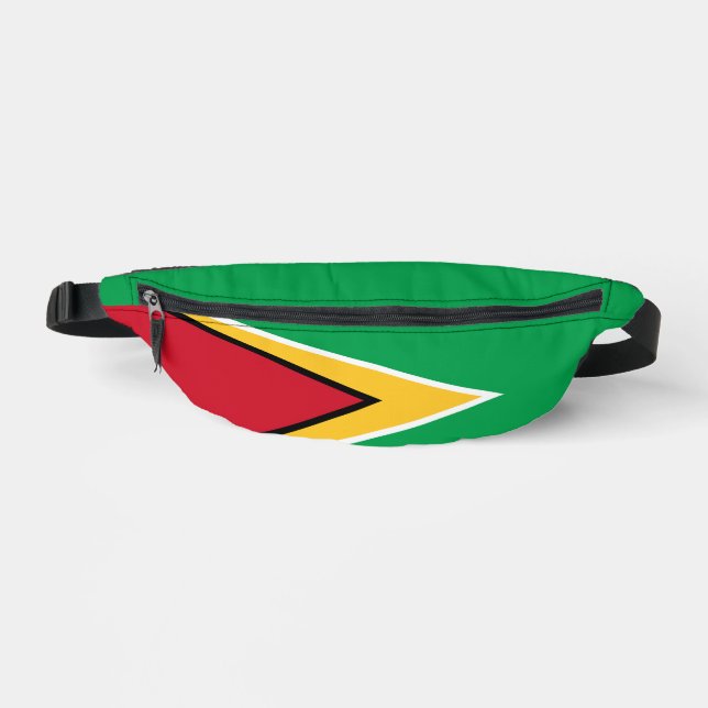 Drapeau de la Guyane (Recto)