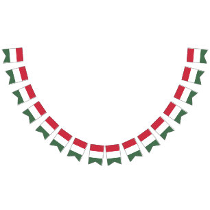 Drapeau de la Hongrie