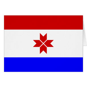 Drapeau de la Mordovie