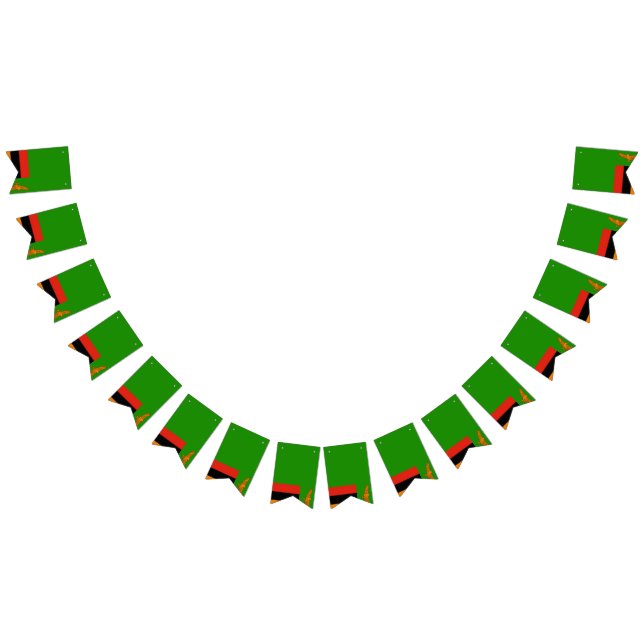 Drapeau de la Zambie (Tout)