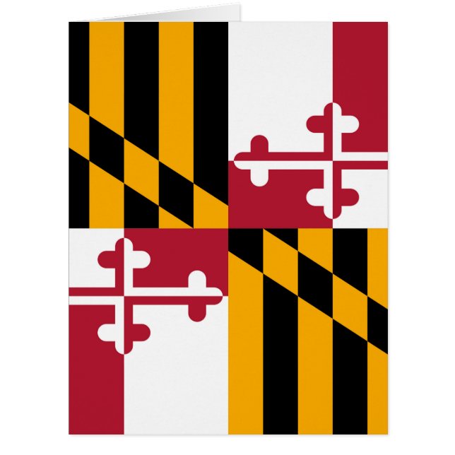 Drapeau de l'État du Maryland (Devant)