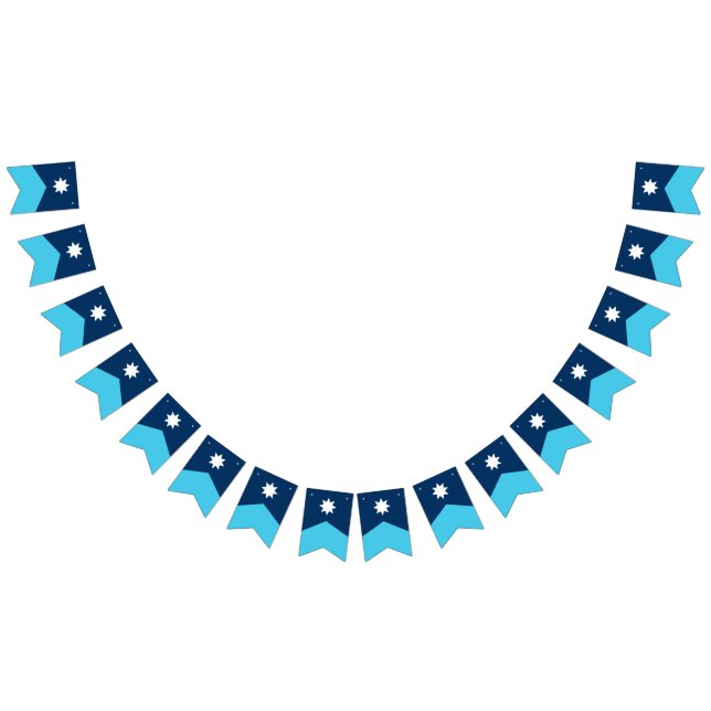 Drapeau de l'État du Minnesota Pennant Bunting (Tout)