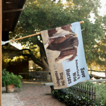 Save America's Wild Horses Splaash